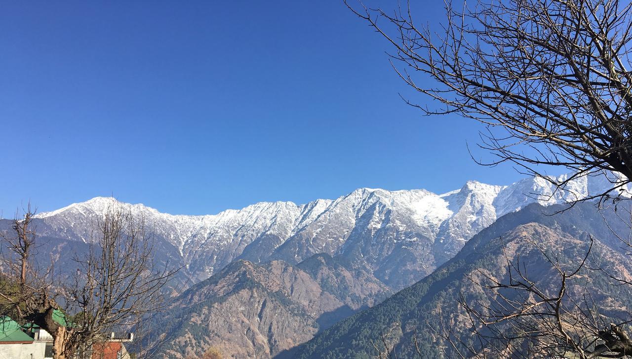 Ess & Bee Resorts Dharamshala Exterior photo
