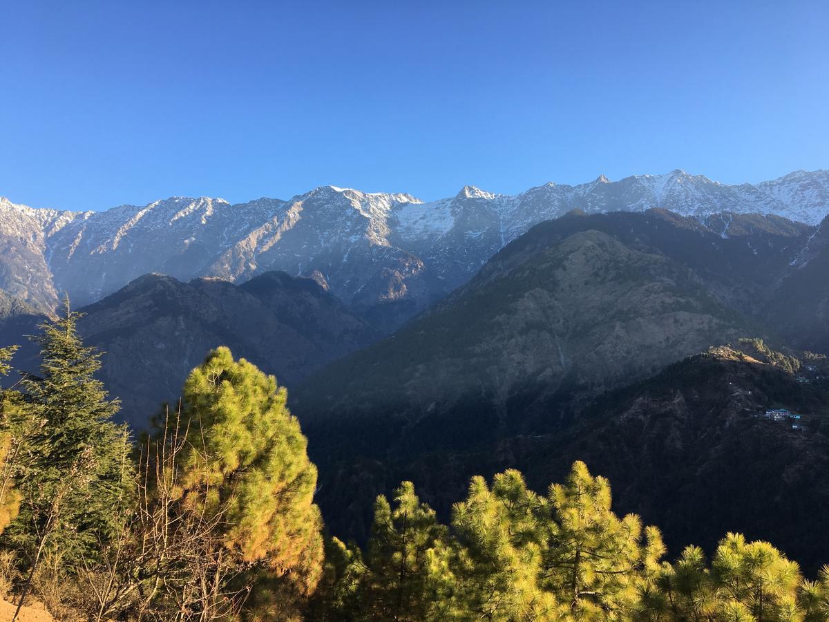 Ess & Bee Resorts Dharamshala Exterior photo