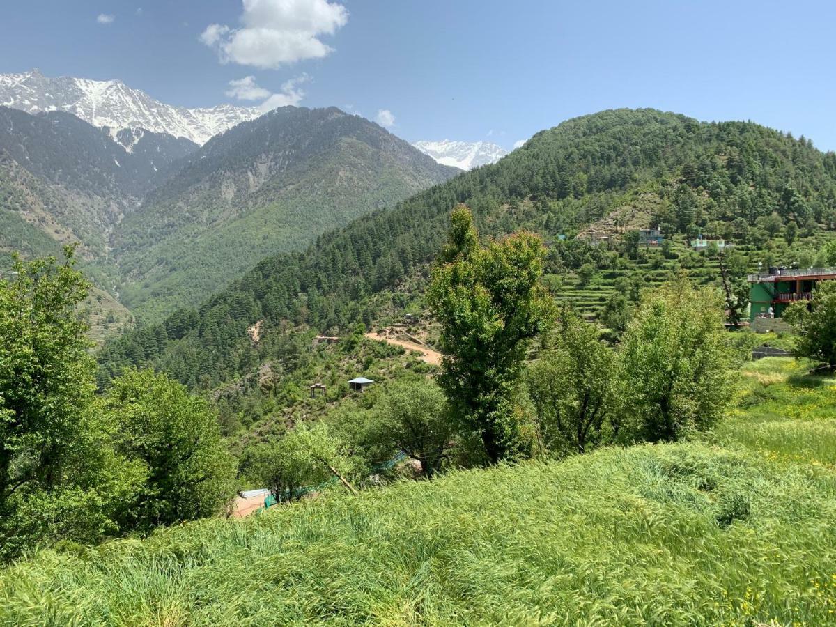 Ess & Bee Resorts Dharamshala Exterior photo